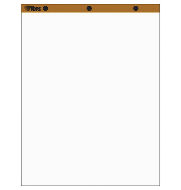 Easel Pads, Unruled, 27 x 34, White, 50 Sheets, 2/Carton