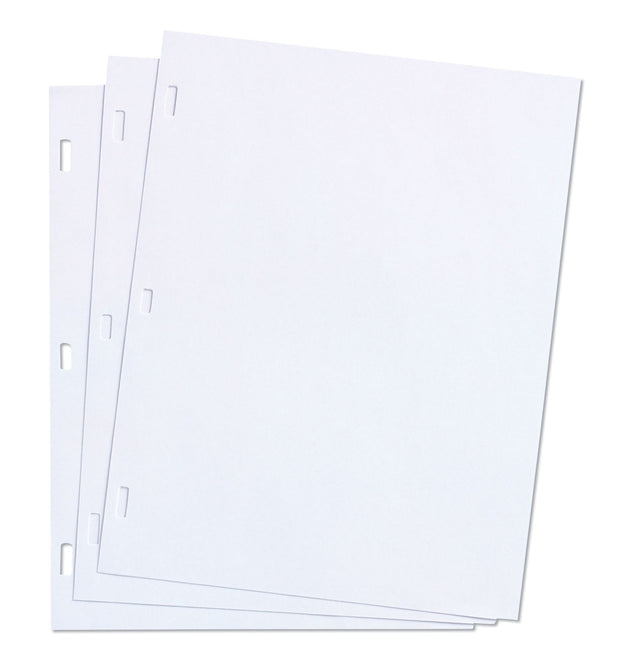 Ledger Sheets for Corporation and Minute Book, 11 x 8.5, White, Loose Sheet, 100/Box