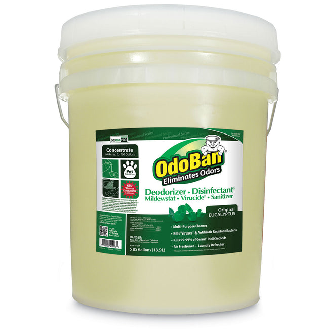 Concentrated Odor Eliminator and Disinfectant, Eucalyptus, 5 gal Pail