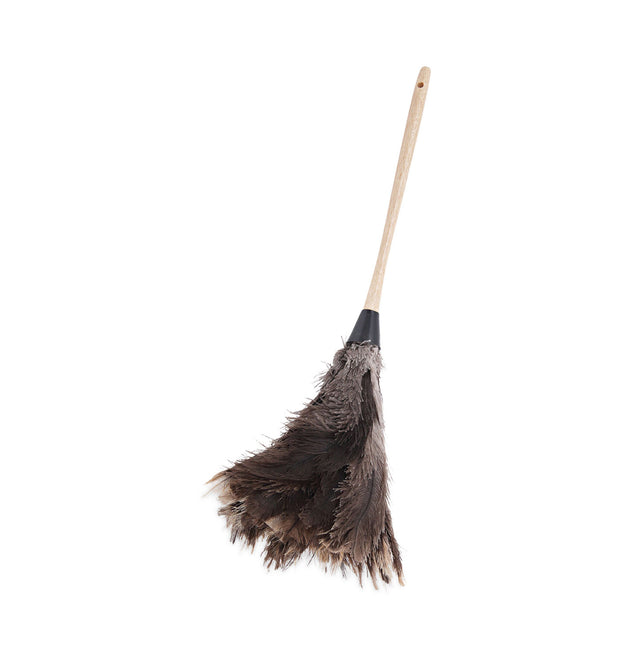 Professional Ostrich Feather Duster, 13