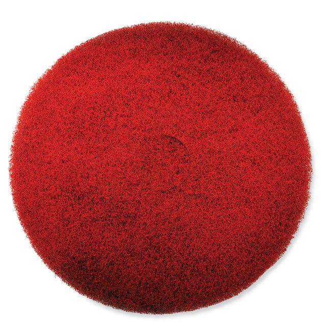 EZ CARE Heavy Duty Scrub Pad, 17