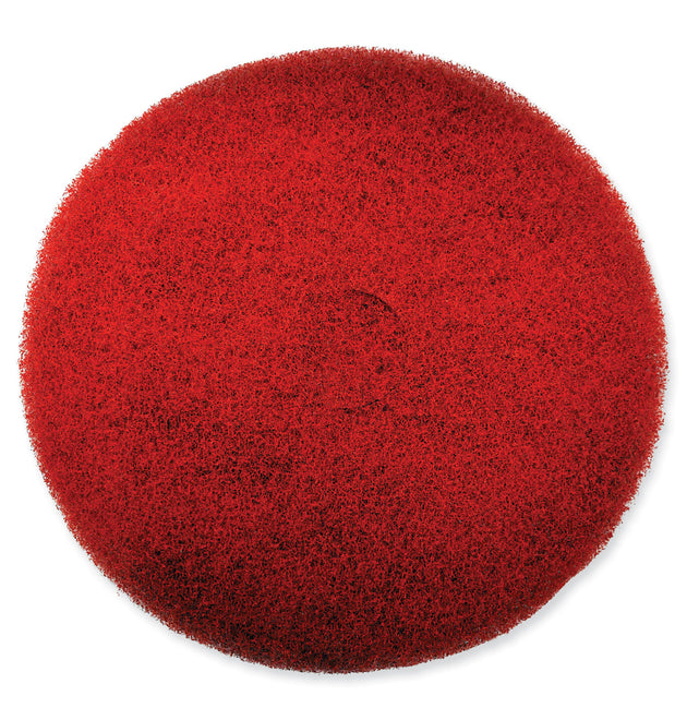 EZ CARE Heavy Duty Scrub Pad, 13