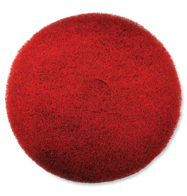 EZ CARE Heavy Duty Scrub Pad, 20